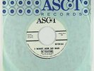 Northern Soul Girl Group 45 - Velvetones - I Want Him So Bad - Ascot - VG++ mp3