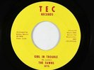Northern/Sweet Soul 45 - Fawns - Girl In Trouble - TEC - VG+ mp3