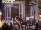 Ratt 12