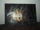 Böhse Onkelz LP Memento, SIGNIERT