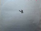 The Flying Machine - Down To Earth With The Flying Machine - Vinyl Reco.. - F34F