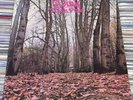 TWINK Think Pink 1970 UK POLYDOR RECORDS VINYL LP 2343 032