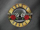 Greatest Hits by Guns N Roses (2LP, Vinyl, 2020)