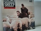 Black Sheep – A Wolf In Sheep's Clothing / LP Vinyl US Press - SEALED
