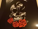 Rose Tattoo Vinyl Coloured DoLP Motörhead Acdc Saxon Accept Black Sabbath Dio