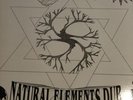 RARE   NATURAL ELEMENTS DUB -DUB REGGAE 1A