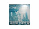 Queens Of The Stone Age - Drunken In Stonehenge (LP)