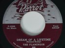 45 Doo Wop FLAMINGOS Dream Of A Lifetime PARROT HEAR