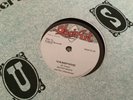 Devon Irons , Vampire. , Sangie Davis , Words  , 12” Blackart