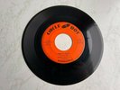 Rare Rockabilly '45  Robin Lee 