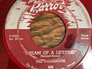 DOO WOP 45 FLAMINGOS PARROT 808 (RED WAX) DREAM OF A LIFETIME / ON MY MERRY WAY