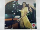 Lana Del Rey - Blue Banisters Vinyl Red Color Variant