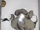 Coil-The Ape Of Naples 2LP Vinyl