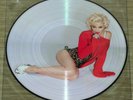 Madonna - Vinyl Picture Disc rar wie neu