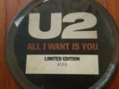 U2 All I Want Is You 7in In Tin Rare