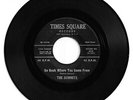 DOO WOP 45 SUMMITS GO BACK WHERE YOU CAME FROM ON TIMES SQUARE  STRONG VG ORIG.