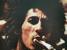 Catch a Fire [Vinyl]
