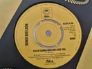 Sandi Sheldon - You're Gonna Make Me Love You, Epic 7