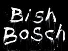 Scott Walker - Bish Bosch NEW Sealed Vinyl LP Album