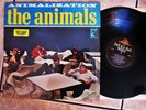 SHRINK  1966 MONO Orig THE ANIMALS ANIMALIZATION Beat Garage FUZZ PUNK RAVE UP