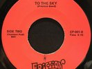 Modern Sweet Soul 45 FRICTION BAND To The Sky / Watchin' You listen