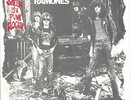 RAMONES 45  Sheena Is A Punk Rocker (mono) / (stereo)  (promo) w/pic sleeve - NM
