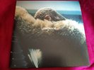 Beyonce Lemonade Double Yellow Vinyl