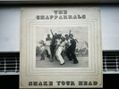 THE CHAPPARRALS - SHAKE YOUR HEAD LP - Maximillion - Rare PRIVATE Soul Funk NM