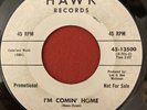 The Infernos - I’m Comin Home / Goin Cruisin - Hawk - RARE SURF 45 HEAR