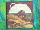 Original 1973 GRATEFUL DEAD  Wake of the Flood  Vinyl LP Monarch Pressing VG+