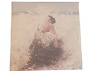 Anberlin - Vital Vinyl 2x10