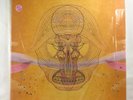 DEVENDRA BANHART – What Will We Be    2009 Ltd. US 1st 2LP 180g   NM / EX