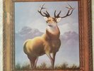Killdozer - Twelve Point Buck Vinyl LP Touch And Go noise punk