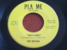 Very Rare Garage Rock 45 Vinyl Record - THE OCEANS - SHE'S GONE-PLA-ME Records