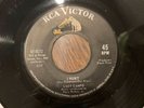 Rare Lucy campo I hurt evil eye rock 45 record vinyl rca blues halloween