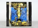 LP - Sepultura - Chaos A.D. - 1993 Roadrunner - All Blacks - OIS - VG++