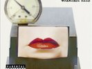 Greatest Hits Vinyl by Red Hot Chilli Peppers 2Record by Red Hot Chilli Peppers
