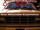 New Miserable Experience by Gin Blossoms (LP Record, 2017)