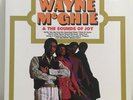 Wayne Mcghie & The Sounds Of Joy Vinyl Reissue