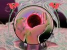 Magdalena Bay - Mercurial World (LP)