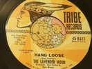 Texas Garage Punk 45 The Lavender Hour Hang Loose TRIBE VG+ HEAR