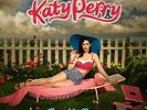 `PERRY,KATY`-ONE OF THE BOYS (US IMPORT) VINYL LP NEW