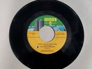 THE FIVE STAIRSTEPS, 60s SOUL 45, DON’T WASTE YOUR TIME, WINDY C LABEL