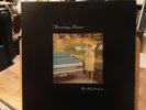 Throwing Muses - The Real Ramona - LP first pressing 1991 - CAD1002.