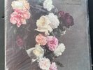 New Order - Power, Corruption & Lies - 1983 US Factus 12 Die Cut Sleeve - NM-