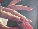 Paul English Group - First Taste - Goolengo - VPMF 5591 - LP, Album 1702529422