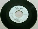 Detroit Garage Rock 45 Underdogs Judy Be Mine &The Man In THE Glass 1965
