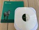Hum “You'd Prefer An Astronaut” 2013 NM White 180g Pressing SRCVinyl GTF