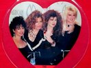 Tha Bangles   Uncut Picture Disc  Record 12