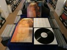 AMANDA LEAR: I Am A Photograph, + POSTER (NUDE), ARIOLA, 25 473 OT, GER, 12